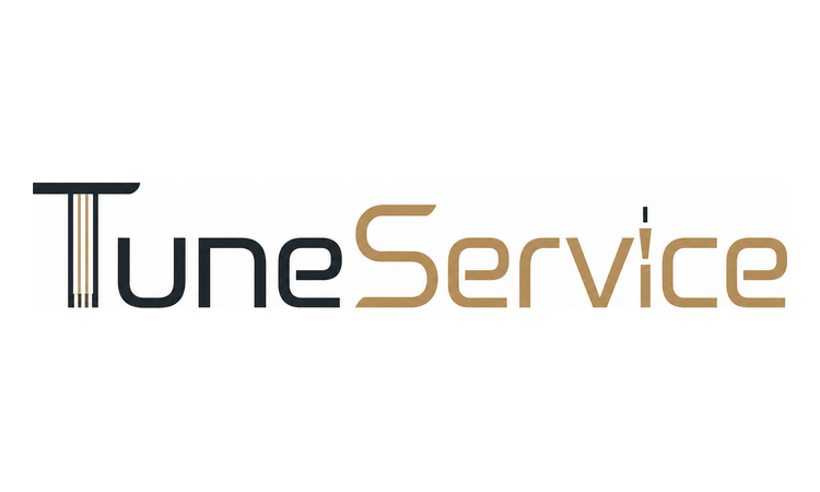 Available Business Name For Sale - TuneService